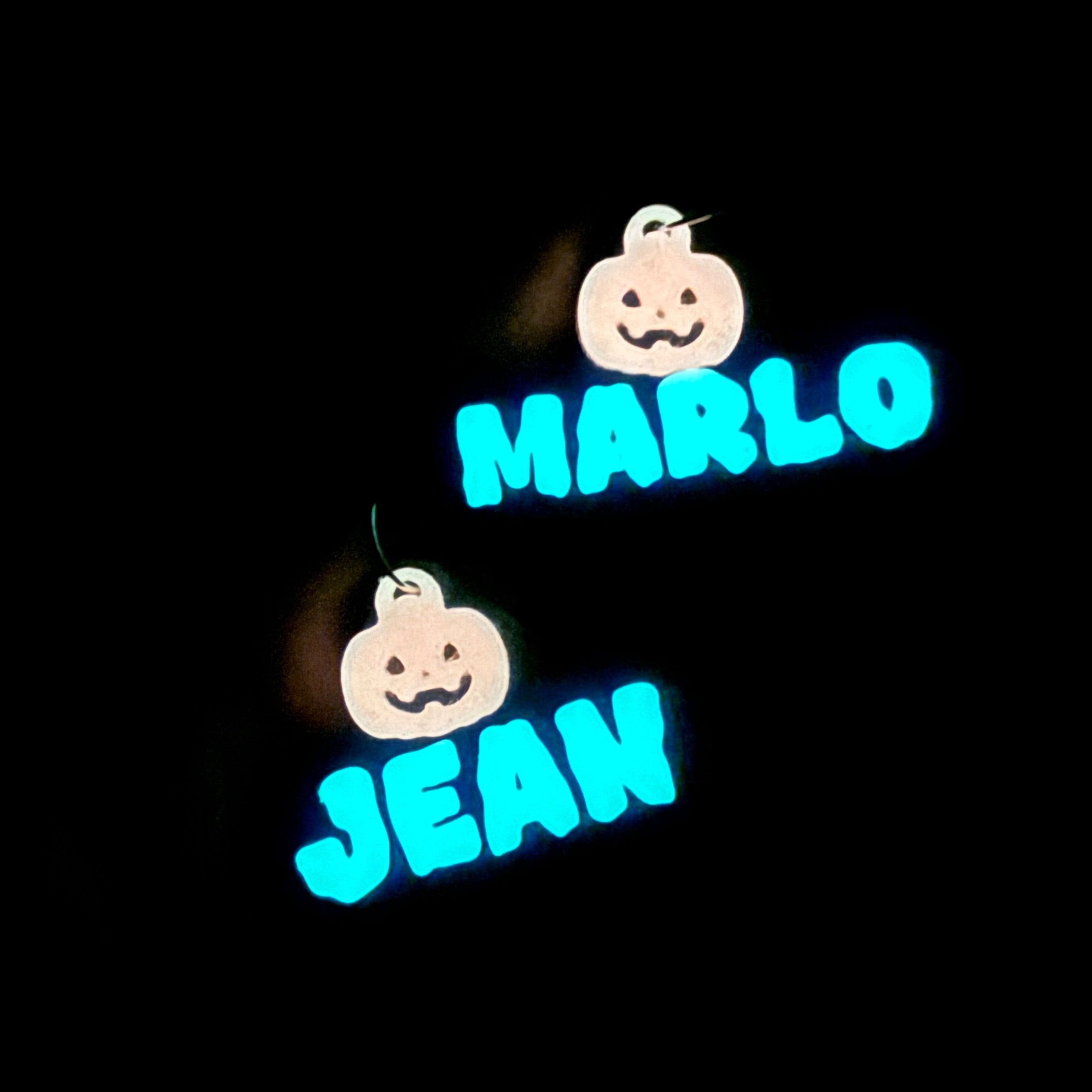 Gloween Name Tag (Glow in the dark) - Pet Charm